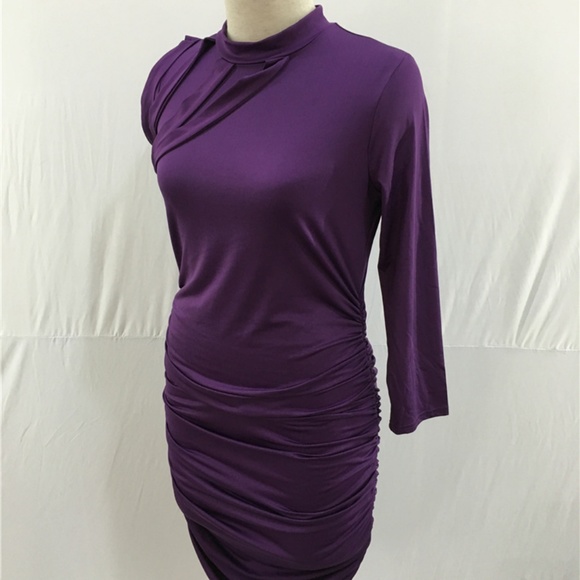 πΊπΊHOST PICKπΊπΊ Stretch Rouched Detail Dress - Picture 2 of 4